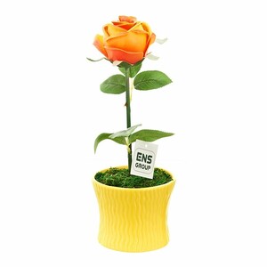Композиция декоративная (с подсветкой) "Чайная роза" (с эффектом натуральных лепестков, в керамическ (арт. 4510004)