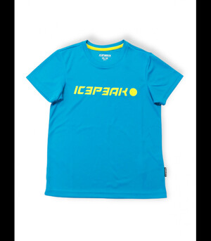 Icepeak футболка для мальчиков Kemberg Jr 51724-9*335