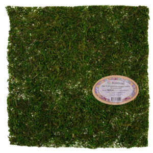 "Blumentag" BKM-40 Лист из натурального мха 40 см зеленый