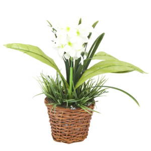 Цветок искусственный в горшке "Белый гиацинт" 14*10*26см. (min12) (транспортная упаковка) (арт. 7250154)
