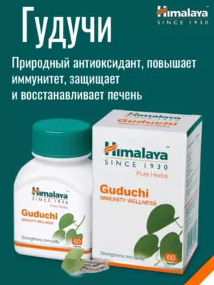 Гудучи Хималая (Guduchi Himalaya Herbals) 60 табл
