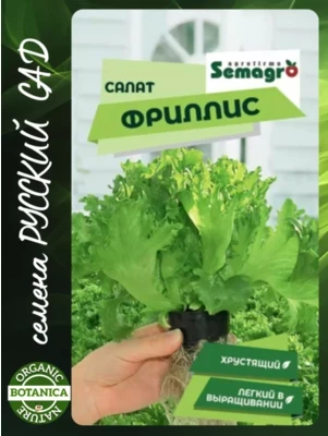 Салат Фриллис 15шт (Seminis) Семена СемАгро (Seminis)