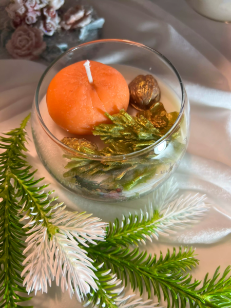 Пристрой Эми - декабрь 2025