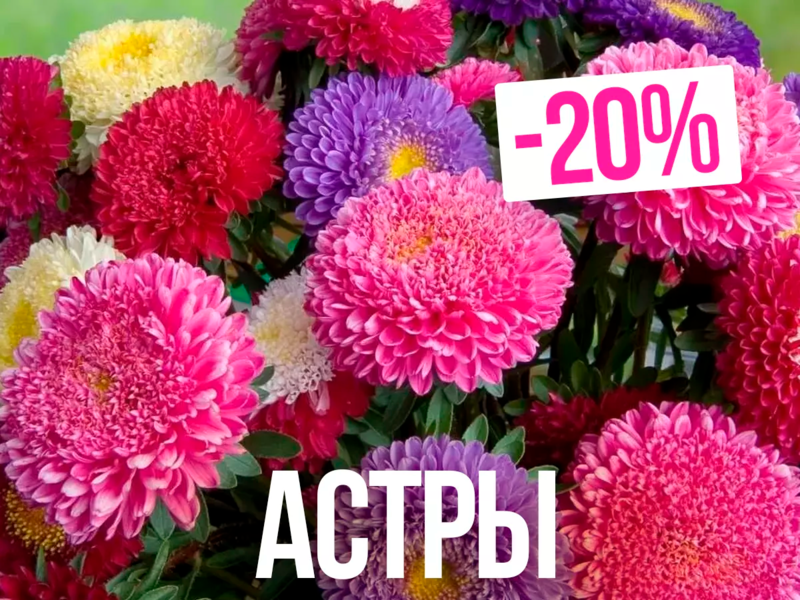 -20% на Астры ❗ Семена ОВОЩЕЙ и ЦВЕТОВ БЕЗ РЯДОВ. Более 10 000 наименований семян ❗ без транспортных ❗ минимальное ожидание ❗ выкуп 1-2 раза в неделю ❗ много семян в наличии (С/М)
