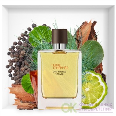 terre vetiver intense