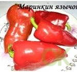 Перец маринкин язычок фото